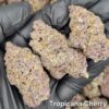 Tropicana Cherry  5g