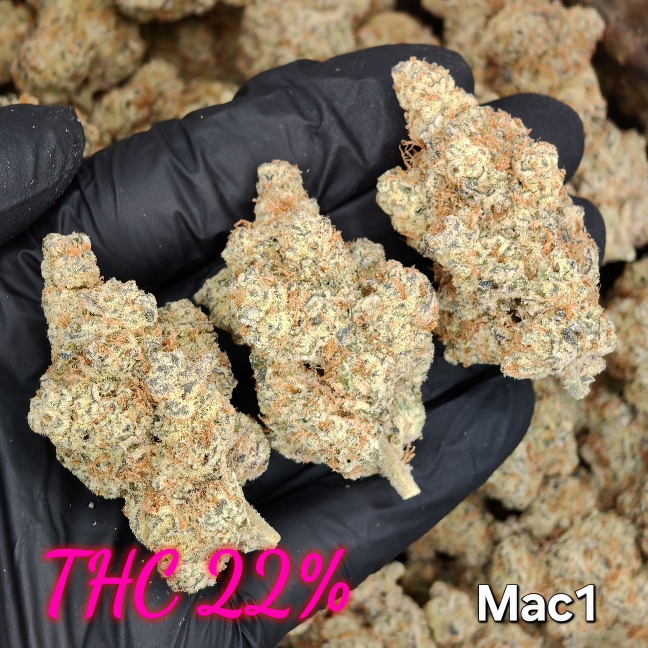 MAC 1